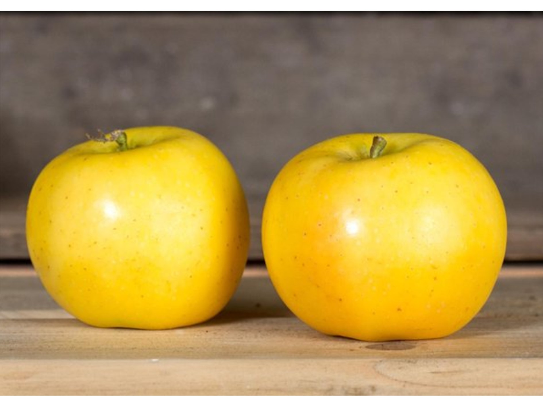 Äpfel - Sonnenglanz | 1kg
