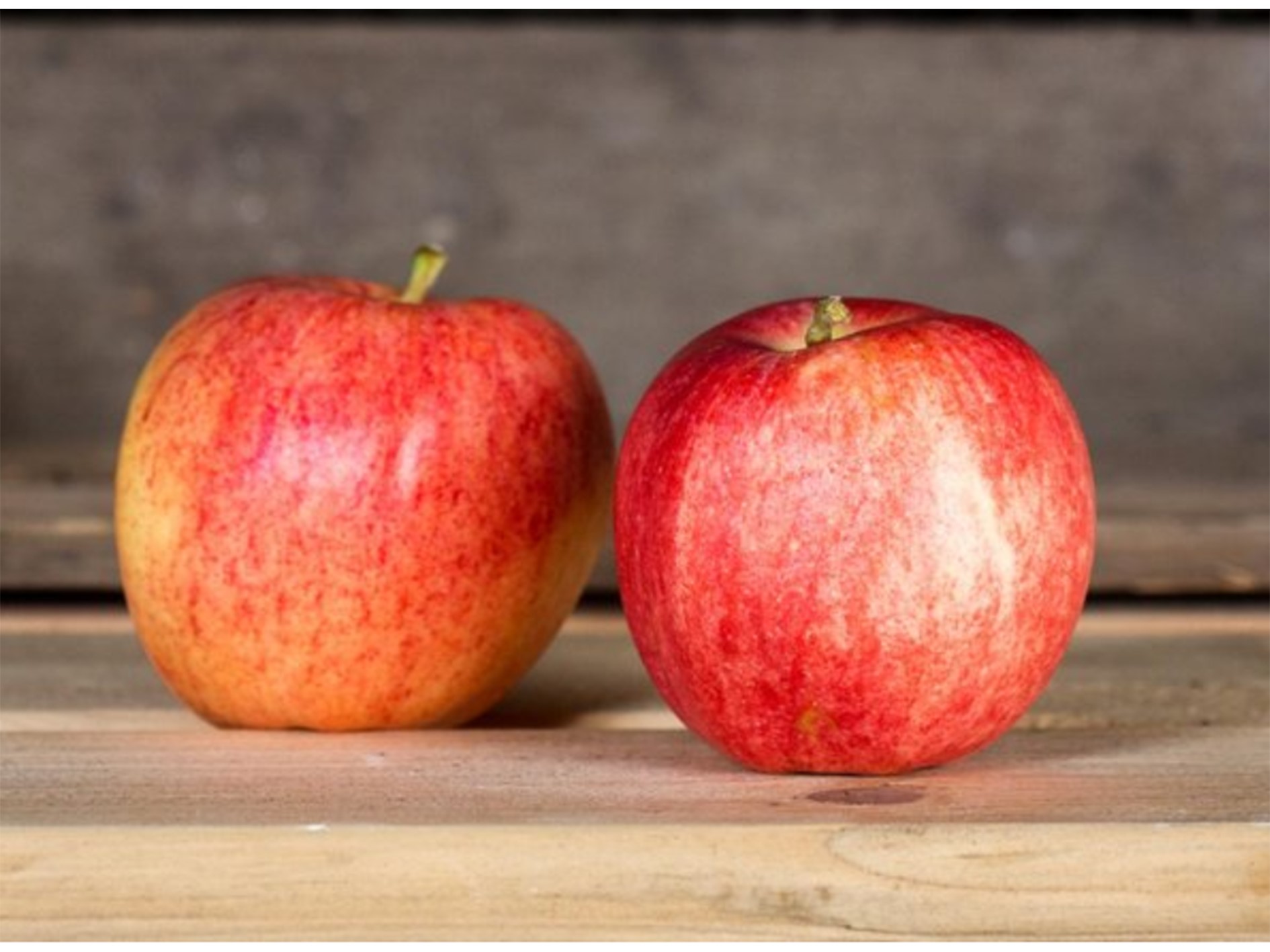 Äpfel - Gala | 1 kg